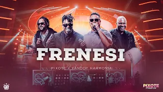 Grupo Pixote +  Xanddy Harmonia - Frenesi - [ DVD - Trintou ]