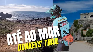 Is this the best trail in Sintra? - Trilho dos Burros (ENG Subtitles - GPX)