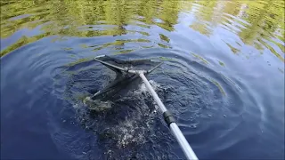 До запуска резина, после - блесна. Клёвое место, Лосиный остров, спорт-зона.