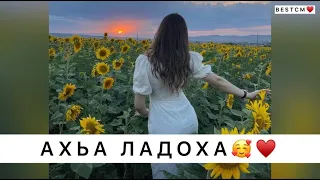 КРАСИВАЯ ЧЕЧЕНСКАЯ ПЕСНЯ АХЬА ЛАДОХА🥰🔥