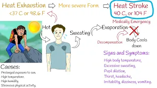 Heat exhaustion -  Symptoms and treatment how to avoid? "sun stroke"