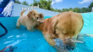 Tucker Shows Todd How to Swim