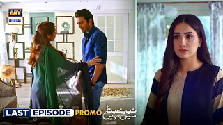 New! Tere Bina Mein Nahi | Last Episode | Promo | ARY Digital