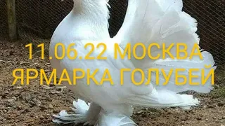 11.06.22. Москва. ЯРМАРКА ГОЛУБЕЙ