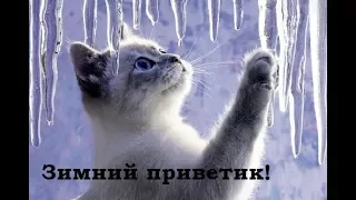 Зимний приветик! Позитив для друзей. Приятная музыка.