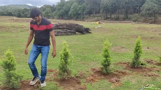 The Gudlu Resort Planting | Chikmagalur