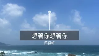 蔡佩軒 想著你 想著你 歌詞版