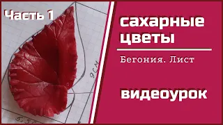 Сахарная флористика. Урок 5, ч.1. Сахарная бегония, ЛИСТ  #сахарныецветы #цветыизмастики #мастика