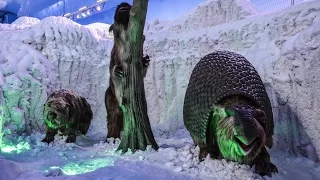 Testing our animatronic ice age animals in factory before transport them to clients place