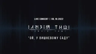 Ілюзія Тиші - Ой, у вишневому саду (live cover)