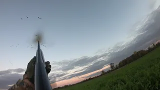 SOLO goose Hunting/ waterfowl geese hunt POV Compilation Gopro shots