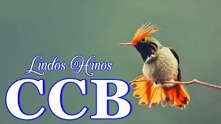 Hinos CCB 2023 - Hinos de silencio CCB para Dormir - Eu desejo, Senhor, só em Ti descansar