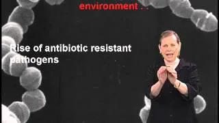 Lucy Shapiro: Why antibiotics don't kill viruses