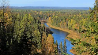 таинственный лес Шопен осень релакс музыка