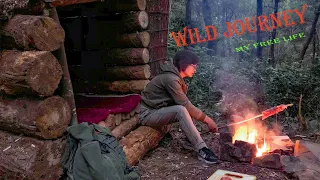 Wild Journey, Build A Bushcraft House With Big Pines - Wild Survival Alone | My Free Life