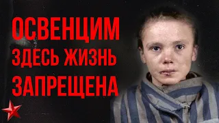 Ужасные подробности лагеря смерти / Освенцим воспоминания очевидцев