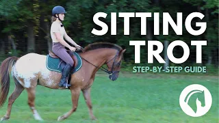 Sitting The Trot | How To Sit The Trot & Move Your Seat