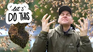 Your Bees Will Swarm If You Don't Do THIS!