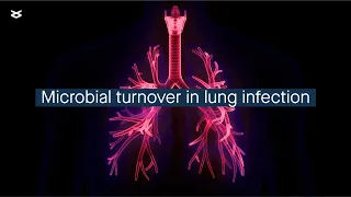 Temporal dynamics of lung infection microbiota in cystic fibrosis