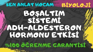 BOŞALTIM SİSTEMİ KONU ANLATIMI 8 | ADH VE ALDESTERON HORMONU  | AYT BİYOLOJİ | ✅