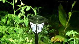 Solar LED night lighting for greenhouse
