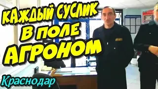 🔥"Каждый суслик в поле агроном ! Царьки в МСЭ !"🔥 Краснодар