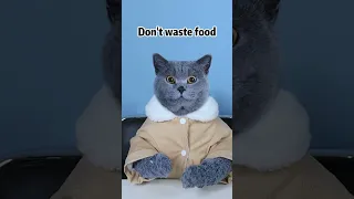 Play The Video Backwards, Food Is Sucked Back😏🍦 | Don't Waste Food  #funnycat #catsoftiktok  #shorts