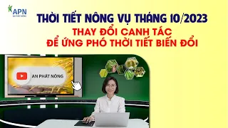 APN - THỜI TIẾT NÔNG VỤ THÁNG 10/2023 | THAY ĐỔI THAO TÁC ĐỂ ỨNG PHÓ THỜI TIẾT BIẾN ĐỔI