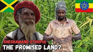 24 Hours with Repatriated Rastas in Shashamane, Ethiopia 🇯🇲🇪🇹
