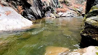 Trout Fishing one of the most beautiful creeks in Pennsylvania