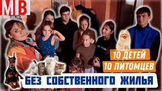 10 ДЕТЕЙ И 10 ПИТОМЦЕВ БЕЗ СВОЕГО ЖИЛЬЯ