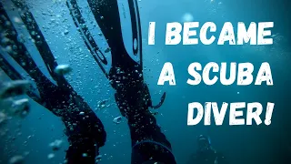 I learned how to SCUBA Dive! (PADI Open Water Diver Course) 🤿🐠