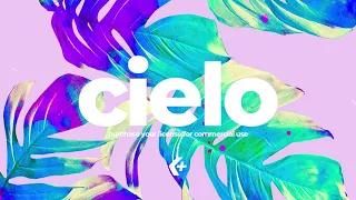 Afrobeat x Pop Type Beat Instrumental | Wizkid x Burnaboy Type Beat "CIELO"