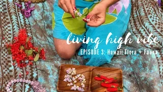 A short film on making flower lei in Hawaii