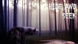 Hide and Seek | Ding Dong, I know you can hear me... | Creepy Music | Wolf Music