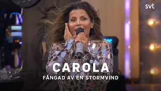 Carola - Fångad av en stormvind | Allsång på Skansen 2023 | SVT