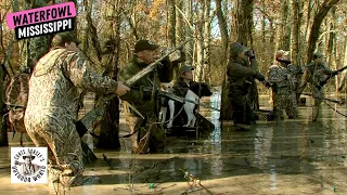 Hunting in the #1 Duck Hole in the Mississippi Delta