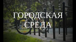 Вебинар "Городская среда" (ноябрь 2021)