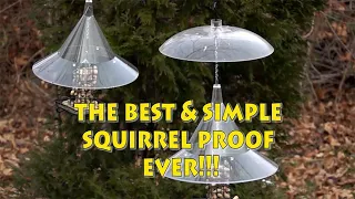 The Best Squirrel proof Bird Feeder Ever!!!