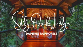 Silky Oaks Lodge: Luxury Rainforest Eco Retreat