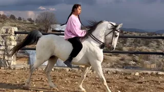 I rode the yaghma without a saddle,Riding without a saddle،سوارکاری فاطیما بدون زین با یغما