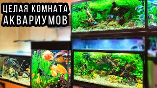 The most beautiful home AQUARIUMS made with your own hands!