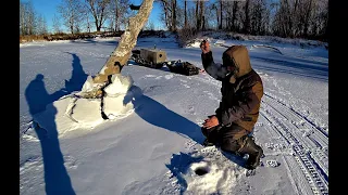 НЕ ЗРЯ МЫ ПОД ЭТО ДЕРЕВО ПРОБУРИЛИ!!! Рыбалка на Алтае, окунь на балансир в коряжнике.