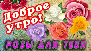 ШИКАРНЫЕ РОЗЫ ЭТИМ УТРОМ ДЛЯ ТЕБЯ 🌹 САМАЯ КРАСИВАЯ УТРЕННЯЯ ОТКРЫТКА 🌹 РОЗЫ ДЛЯ ТЕБЯ 🌹 ДОБРОГО УТРА