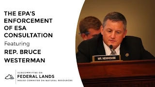 Rep. Westerman on the EPA's Enforcement of ESA Consultation