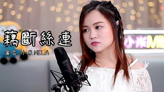 陳瑞 《藕斷絲連》｜小米MILA