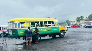 Samoan party buses