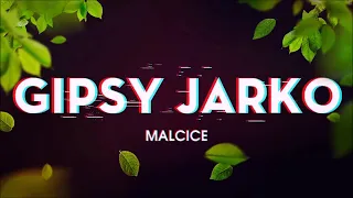 Gipsy Jarko Malcice 2021 Cely album