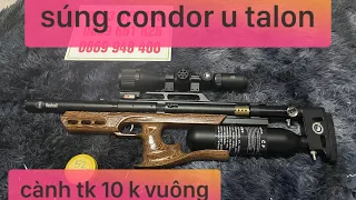 tét súng condor u talon nâng ngắm - cành tk 10k vuông - Ship toàn quốc