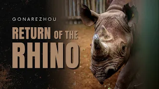 Gonarezhou, Return of the Rhino | FULL DOCUMENTARY